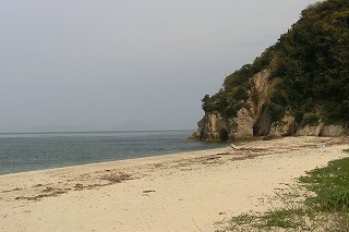 megiogi429 065.jpg