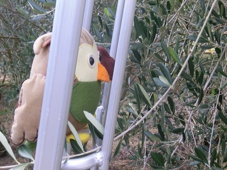 olivepartner20055_R.jpg