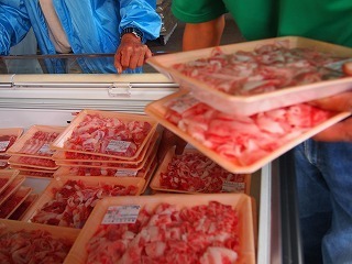 sikaipampkin20041-thumbnail2.jpg