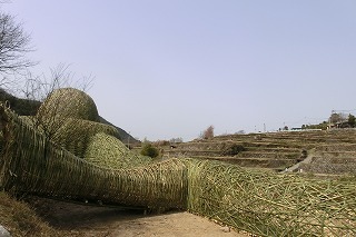 sotugyou1asahiyasan 080.jpg