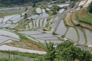 tanada3-thumbnail2-5f45b-thumbnail2.jpg