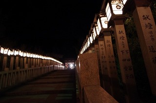 IMGP2870.jpg